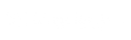 SingularityU Portugal